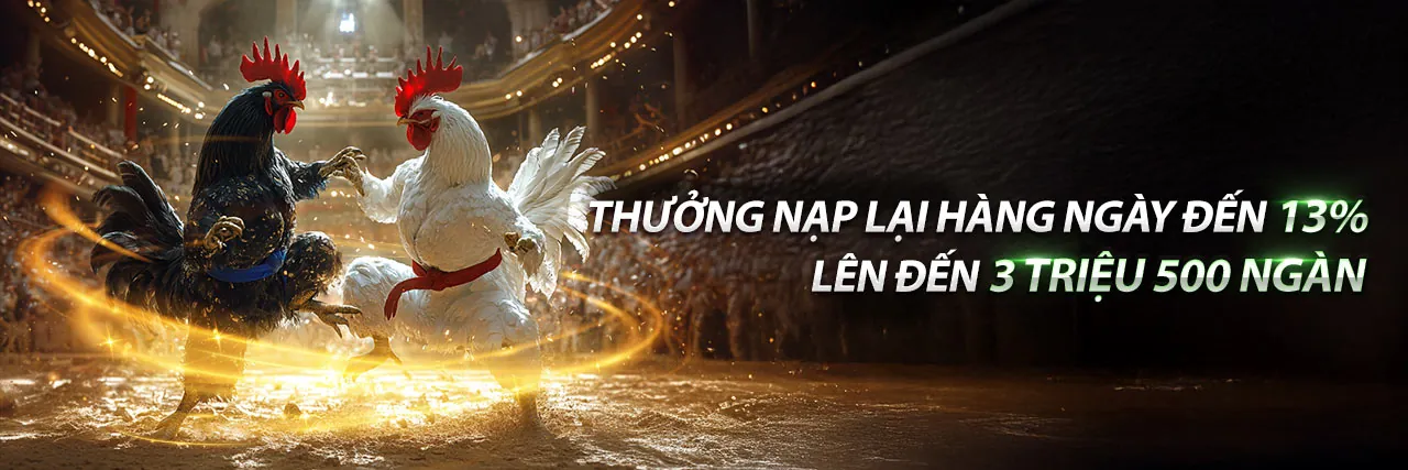 Tin tức và cập nhật t888